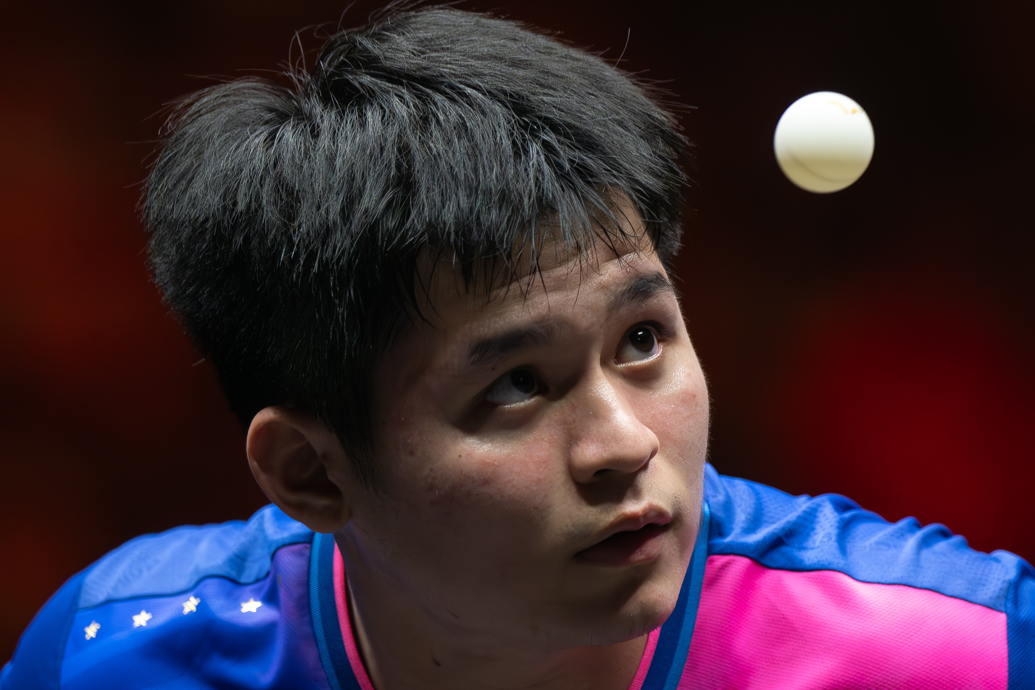 od体育在线-乒乓球男单：中国选手成功卫冕的简单介绍